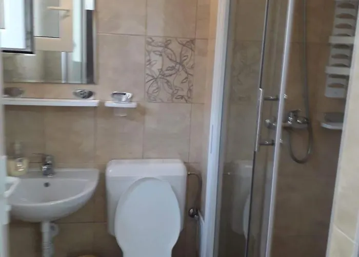 Gazde/Camere de închiriat Casa Nina *